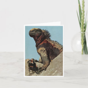 Happy Birthday, baby - Card