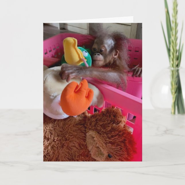 Happy Birthday Baby Orangutan Grabs Toys   Card (Front)
