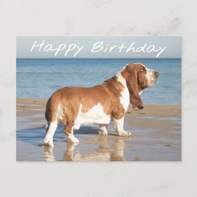 Happy Birthday Basset Hound Puppy Dog Post Card (Front)