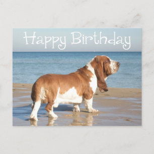Happy Birthday Basset Hound Puppy Dog Post Card