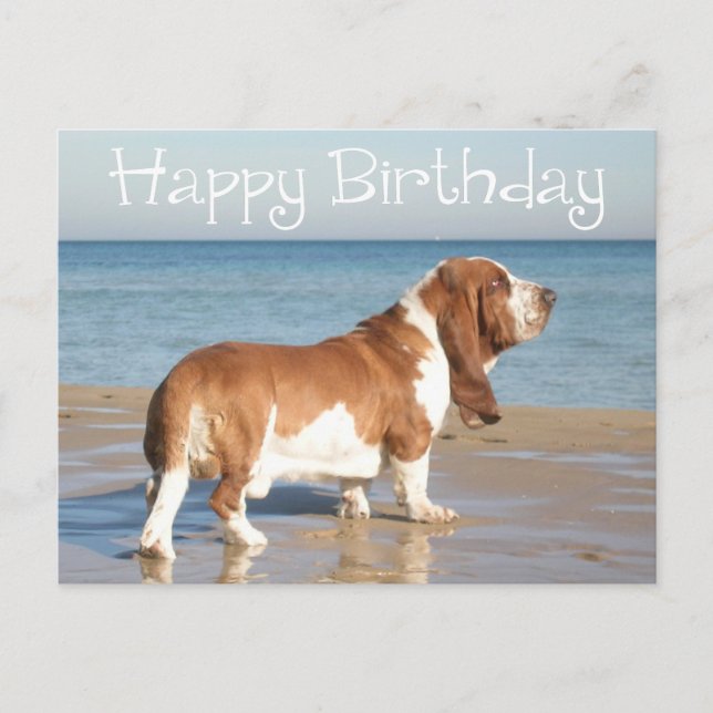 Happy Birthday Basset Hound Puppy Dog Post Card (Front)
