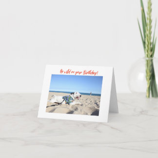 Happy Birthday! Beach Bull Terrier Hawaii Card