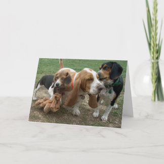 Happy Birthday Beagle Basset Hound Card