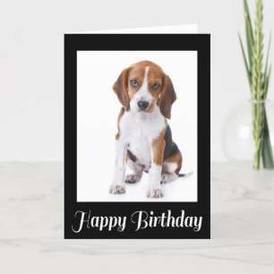 Happy Birthday Beagle Puppy Dog Greeting Card