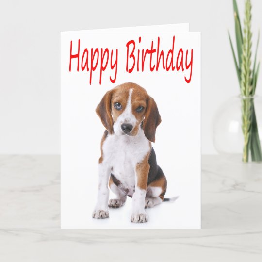 happy birthday beagles