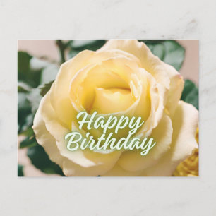 Happy Birthday Beautiful Light Yellow Rose  Postcard