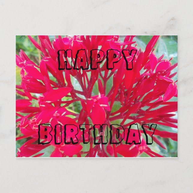 Happy Birthday Beautiful Red flowers Postcard (Front)