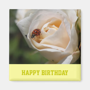 Happy birthday. Beautiful white rose flower Magnet