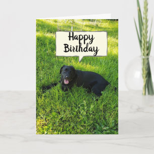 HAPPY BIRTHDAY BECUZ YOU "COUNT" FAV CO-WORKER CARD
