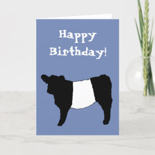Happy Birthday Beltie Belted Galloway Steer Cattle Card