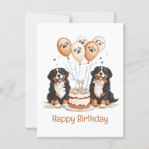 Happy Birthday Bernese Mountain Dogs Postcard