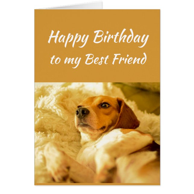 Happy Birthday Best Friend Real Age Humour Fun Dog (Front)