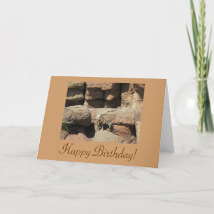Happy Birthday Bighorn Sheep Card