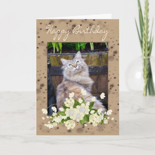Happy Birthday, Birthday Card With Cat, Cat Birthd