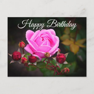 Happy Birthday Bishop’s Castle Rose #1 Postcard