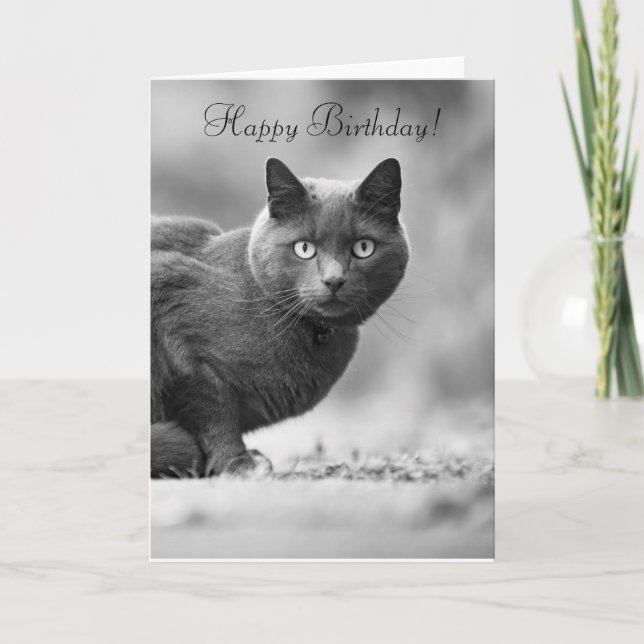 Happy Birthday black Cat Card (Front)