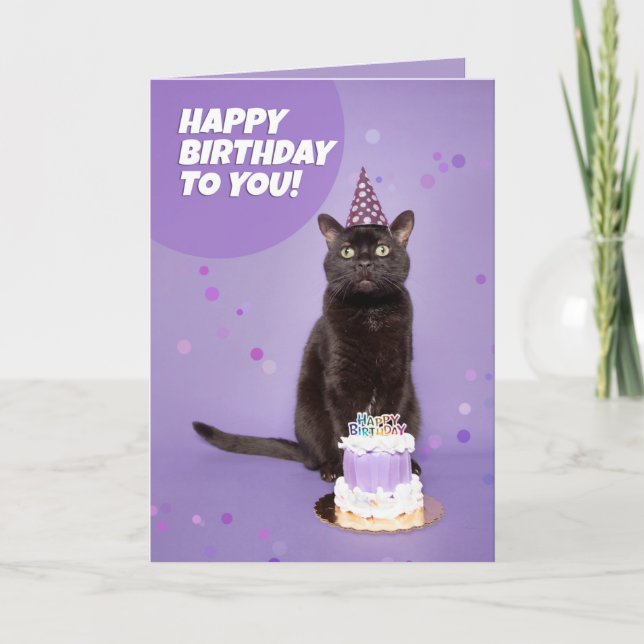Happy Birthday Black Cat in Party Hat With Cake Holiday Card (Front)