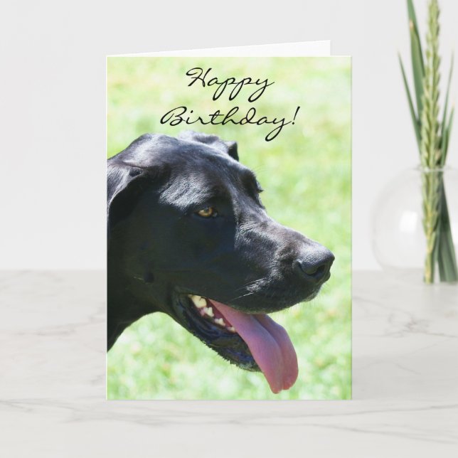 Happy Birthday Black Great Dane greeting card (Front)