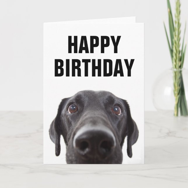 Happy Birthday | Black Labrador Card (Front)