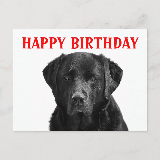Happy Birthday Black Labrador Retriever Puppy Dog Postcard (Front)