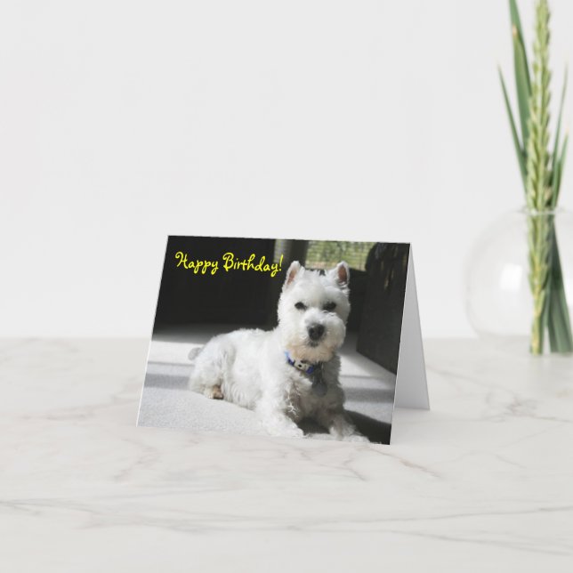 Happy Birthday, Blank, Mini Schnauzer Card (Front)