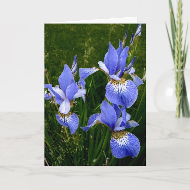 Happy Birthday - Blue Iris-Dark Card (Front)