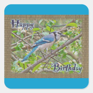 Happy Birthday Blue Jay Square Sticker