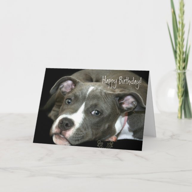 Happy Birthday Blue Pitbull Puppy greeting card (Front)