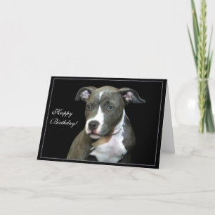 Happy Birthday Blue Pitbull Puppy greeting card