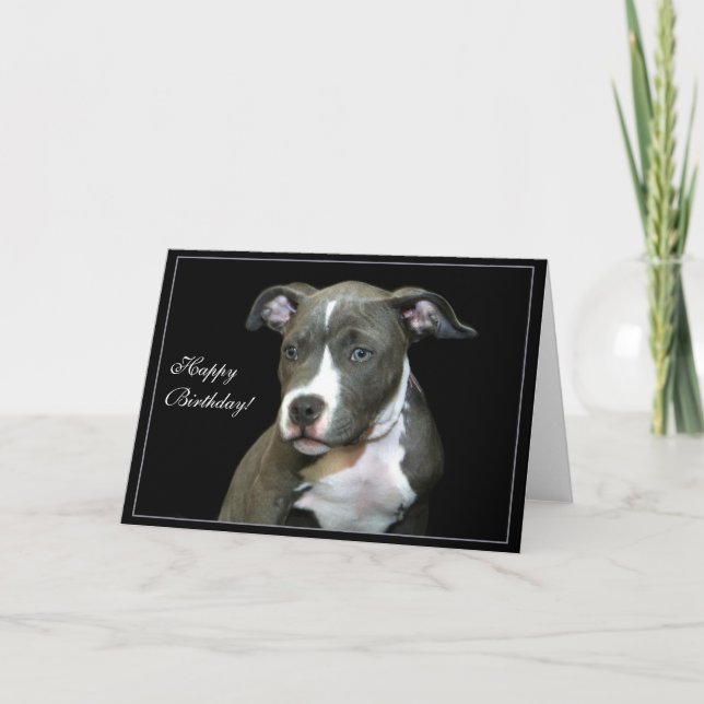 Happy Birthday Blue Pitbull Puppy greeting card (Front)