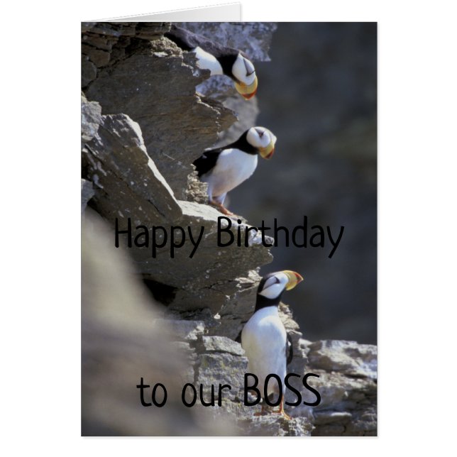 Happy Birthday Boss Cute Puffin Birds Animal Humou (Front)