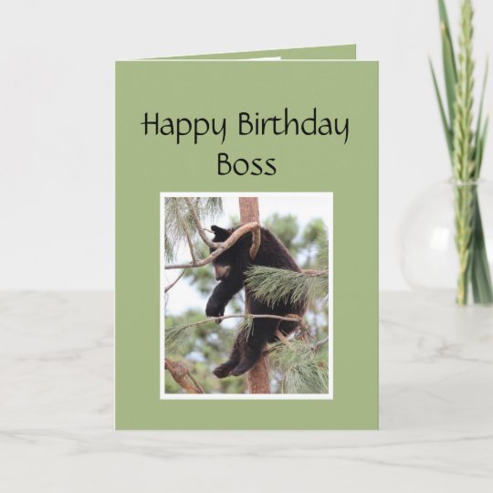 Happy Birthday Boss Funny Bear Animal Card Zazzle Co Uk