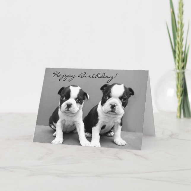 Happy Birthday Boston Terrier greeting card (Front)