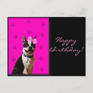 Happy Birthday Boston Terrier Postcard