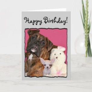 Happy Birthday Boxer and chihuahua greeting card