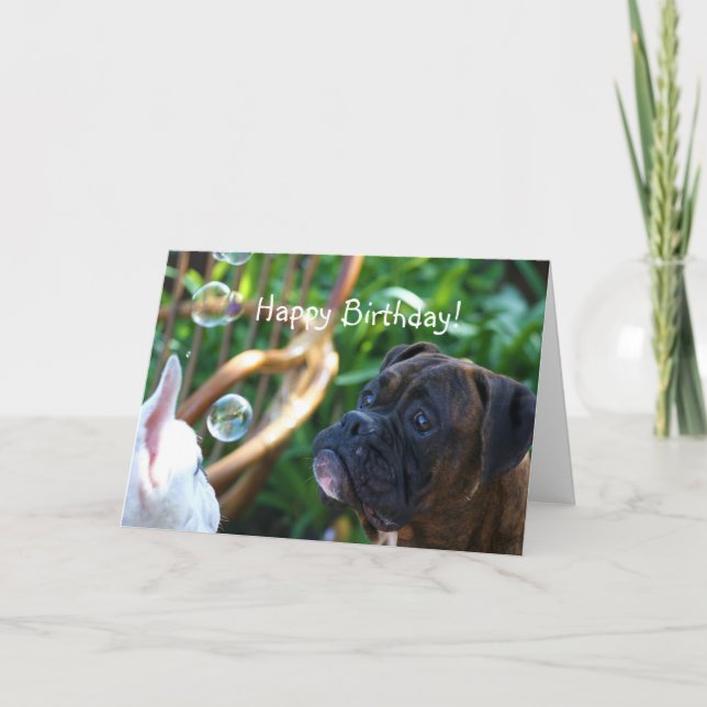 Happy Birthday Boxer dog greeting card (Front)