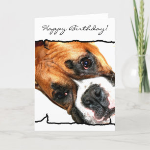 Happy Birthday Boxer dog greeting card