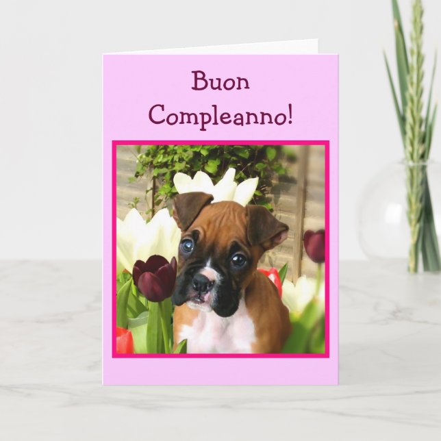 Happy Birthday boxer dog greeting card (Front)