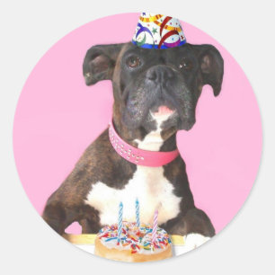 Happy Birthday Boxer dog stickers