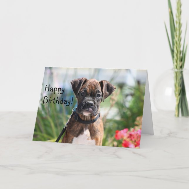 Happy Birthday Boxer Greeting card (Front)