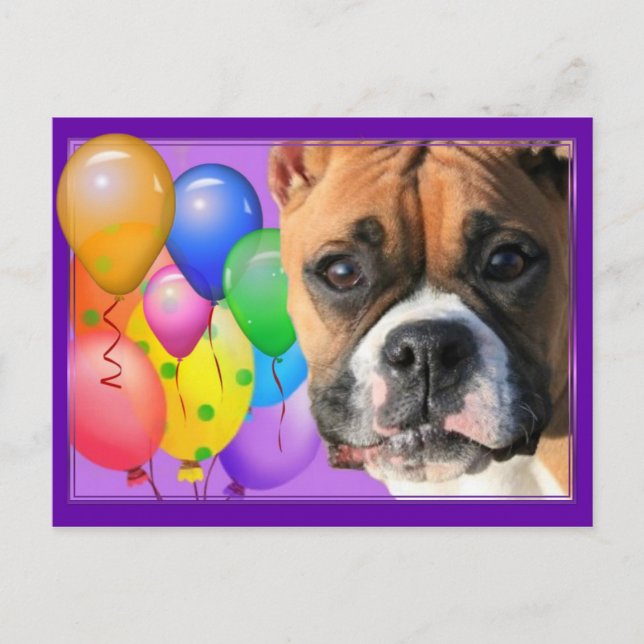 Happy Birthday Boxer Postcard (Front)
