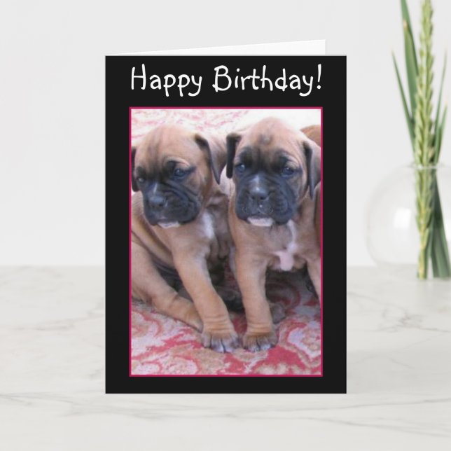 Happy Birthday Boxer puppies greeting card (Front)