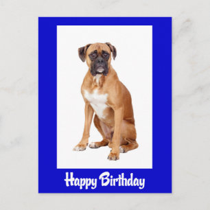 Happy Birthday Boxer Puppy Blue Dog Postcard