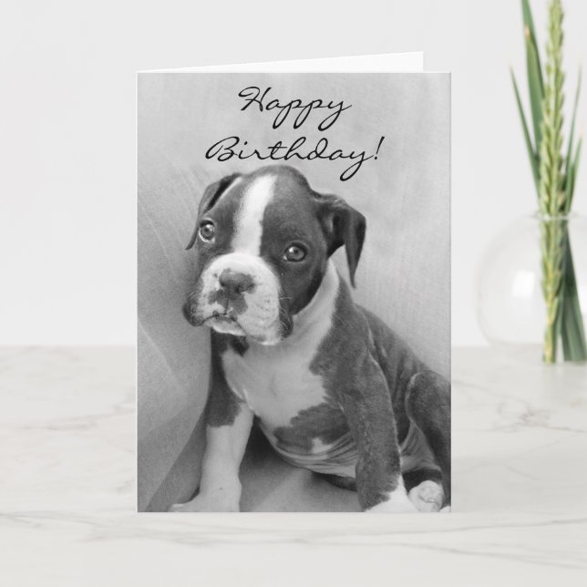 Happy Birthday Boxer puppy Card (Front)