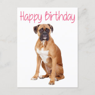 Happy Birthday Boxer Puppy Dog  Postcard