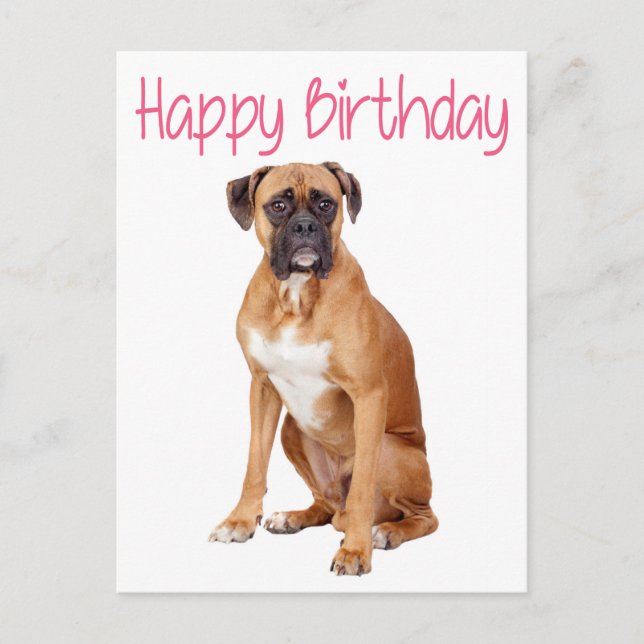 Happy Birthday Boxer Puppy Dog  Postcard (Front)