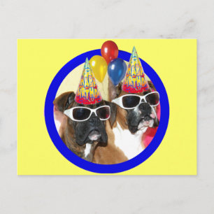 Happy Birthday Boxers postcard
