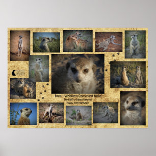 Happy Birthday Brea Poster