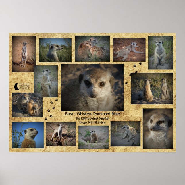 Happy Birthday Brea Poster (Front)