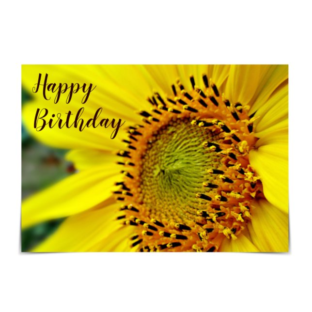 "Happy Birthday" Bright Yellow Sunflower Card (Creator Uploaded)